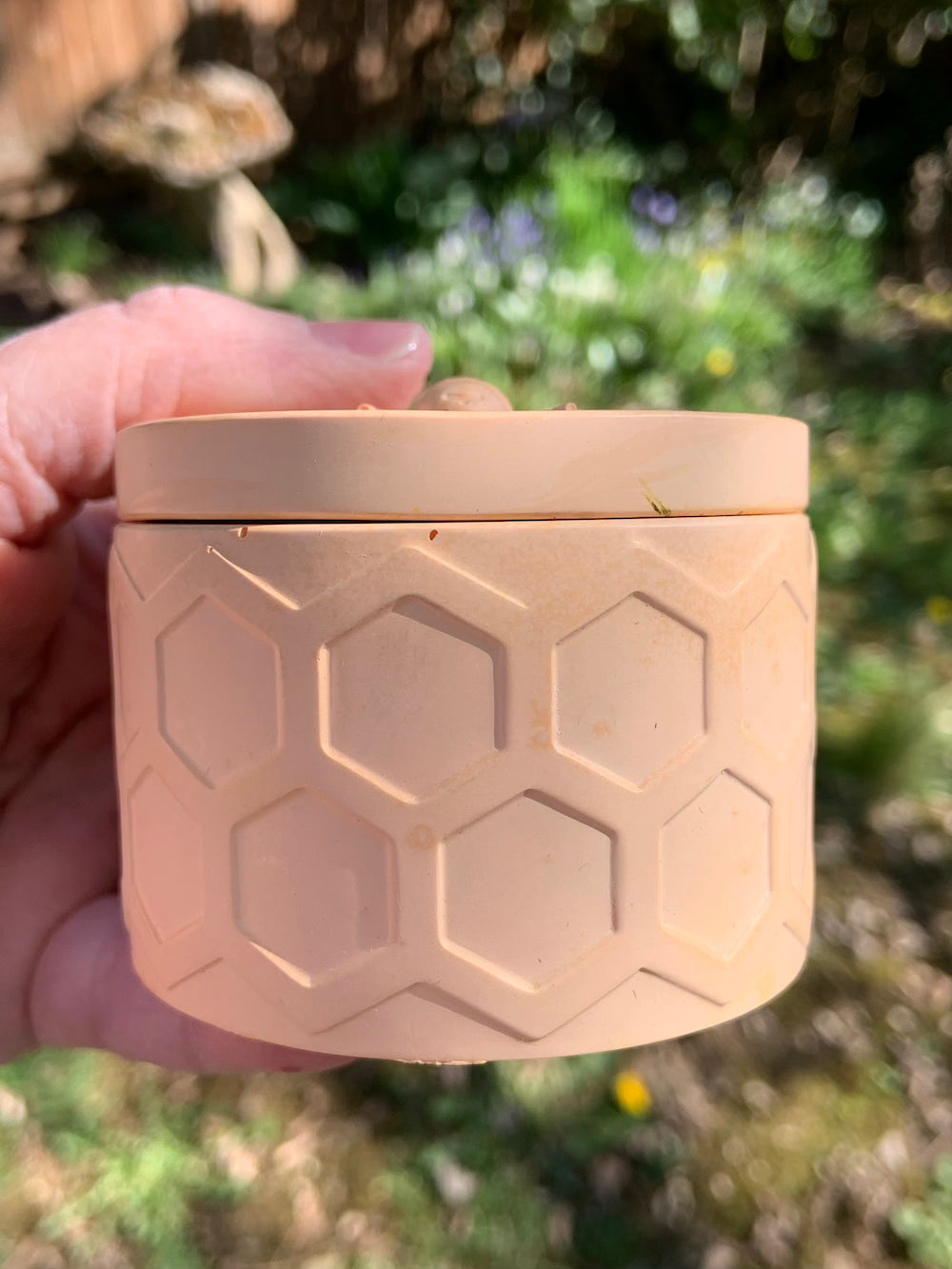 Bee Vessel – Ritual Jar for Offerings & Small Works