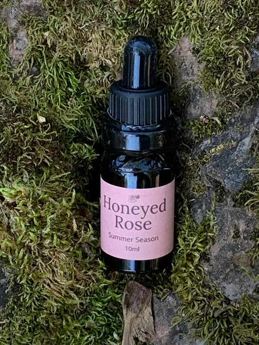 Honeyed Rose Oil – For Love, Softening & Gentle Attraction