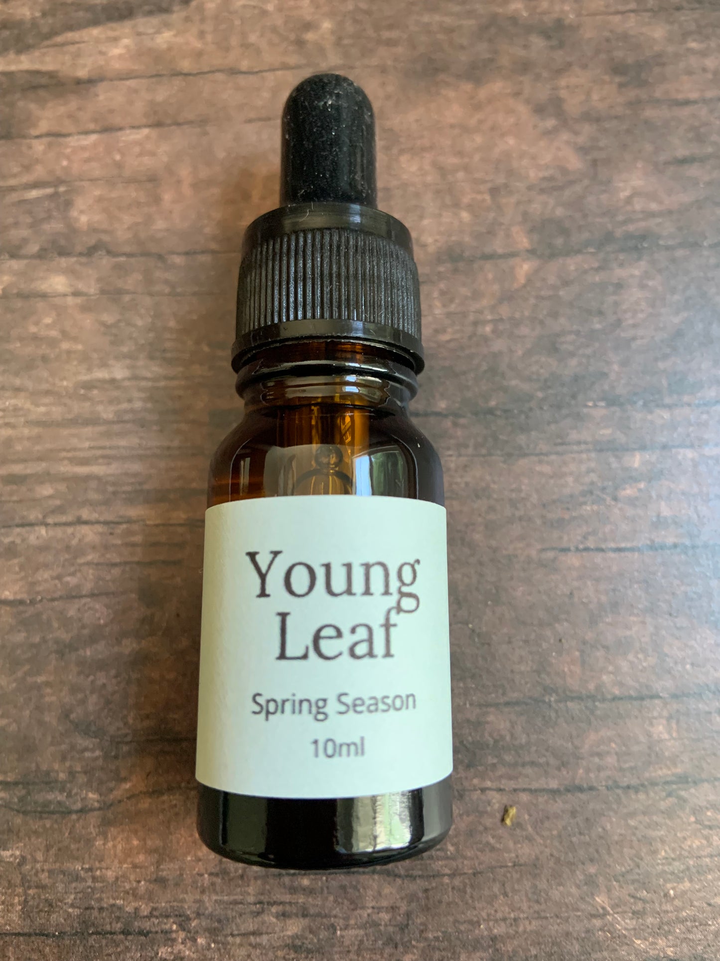 Young Leaf - Spring Oil